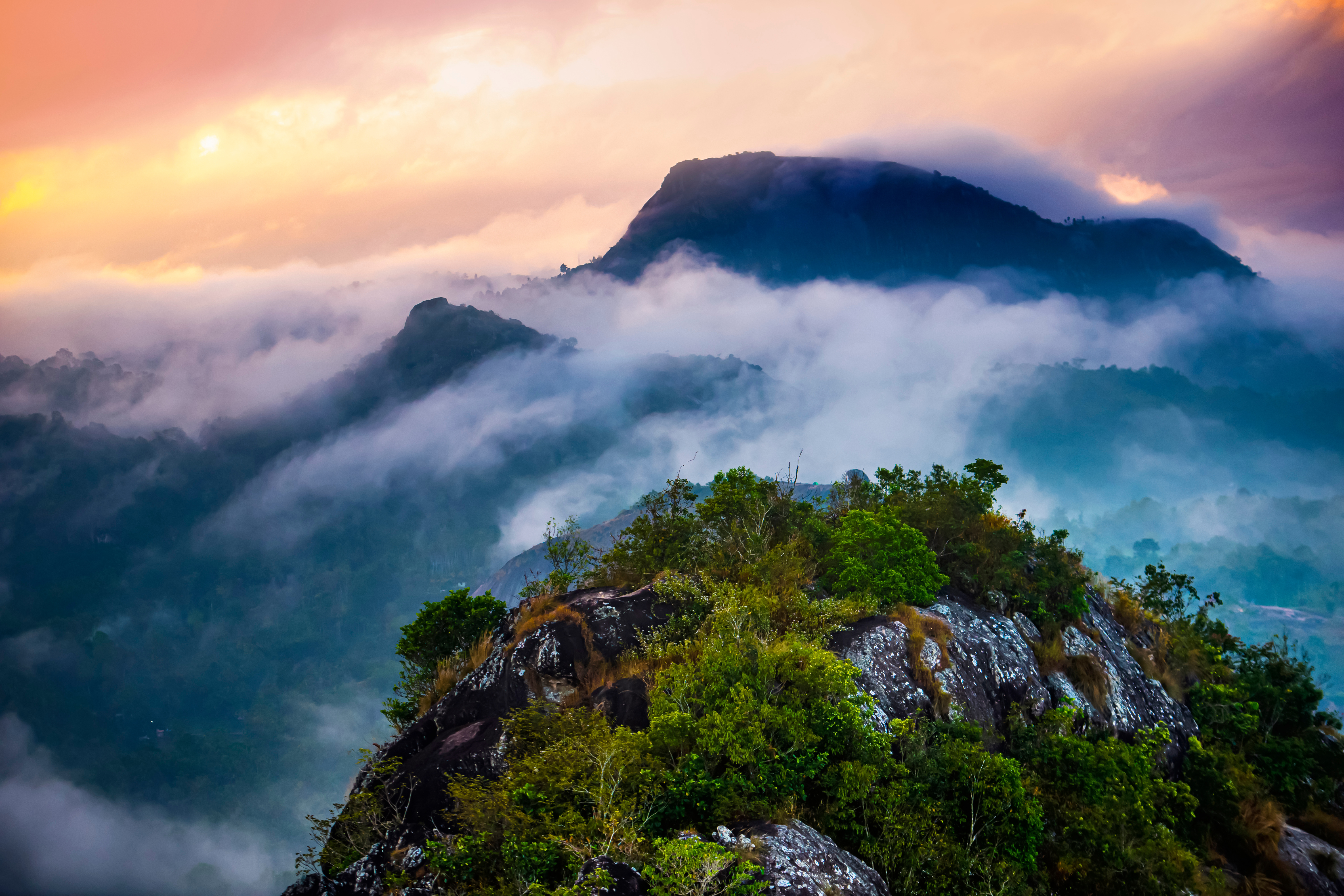Coorg to Wayanad