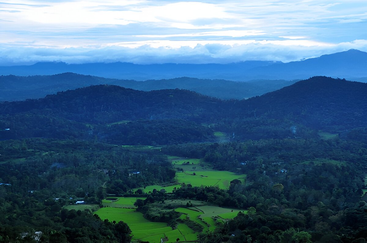 TOP 10 THINGS TO DO IN COORG