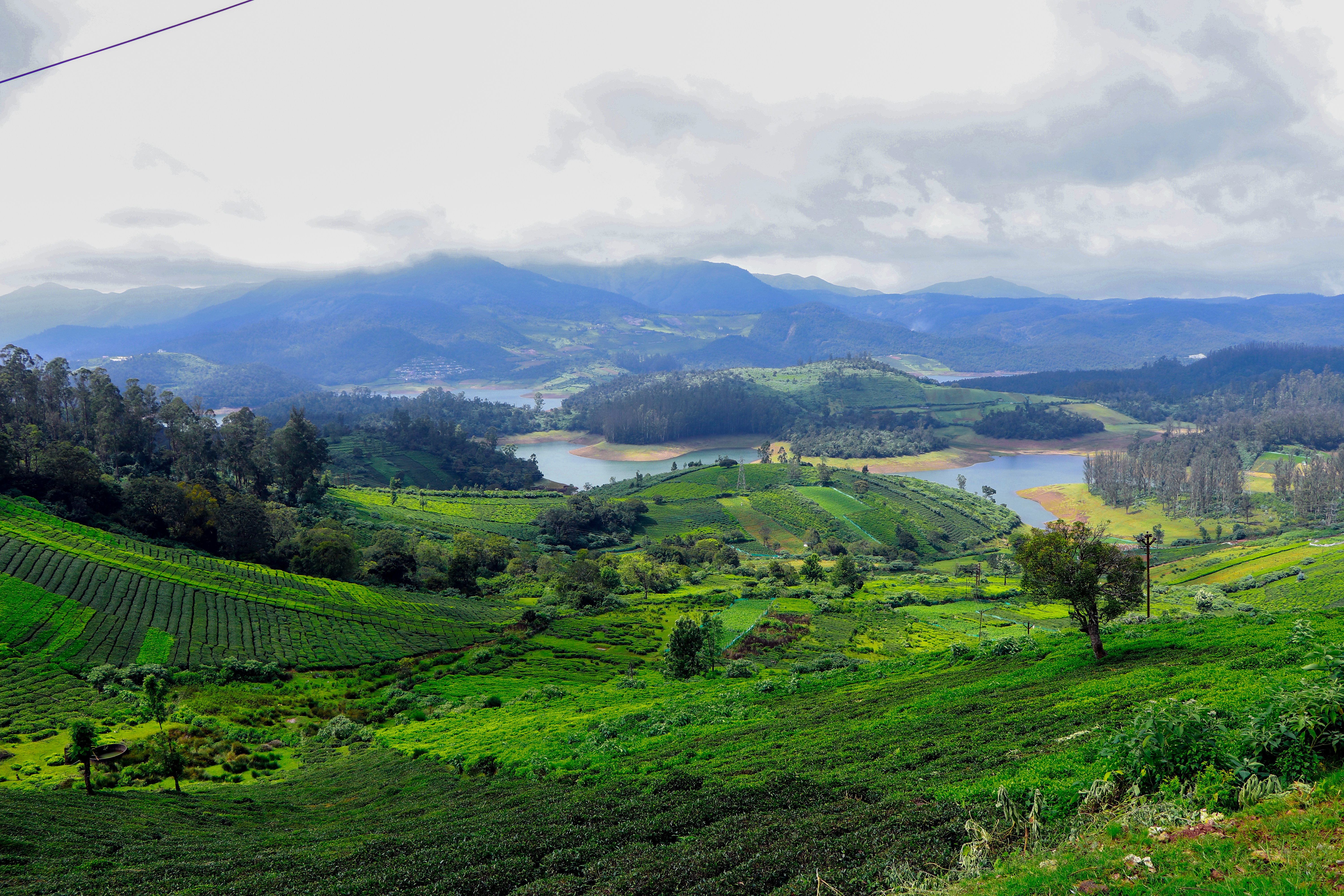 Best Time to Visit Coorg With Family