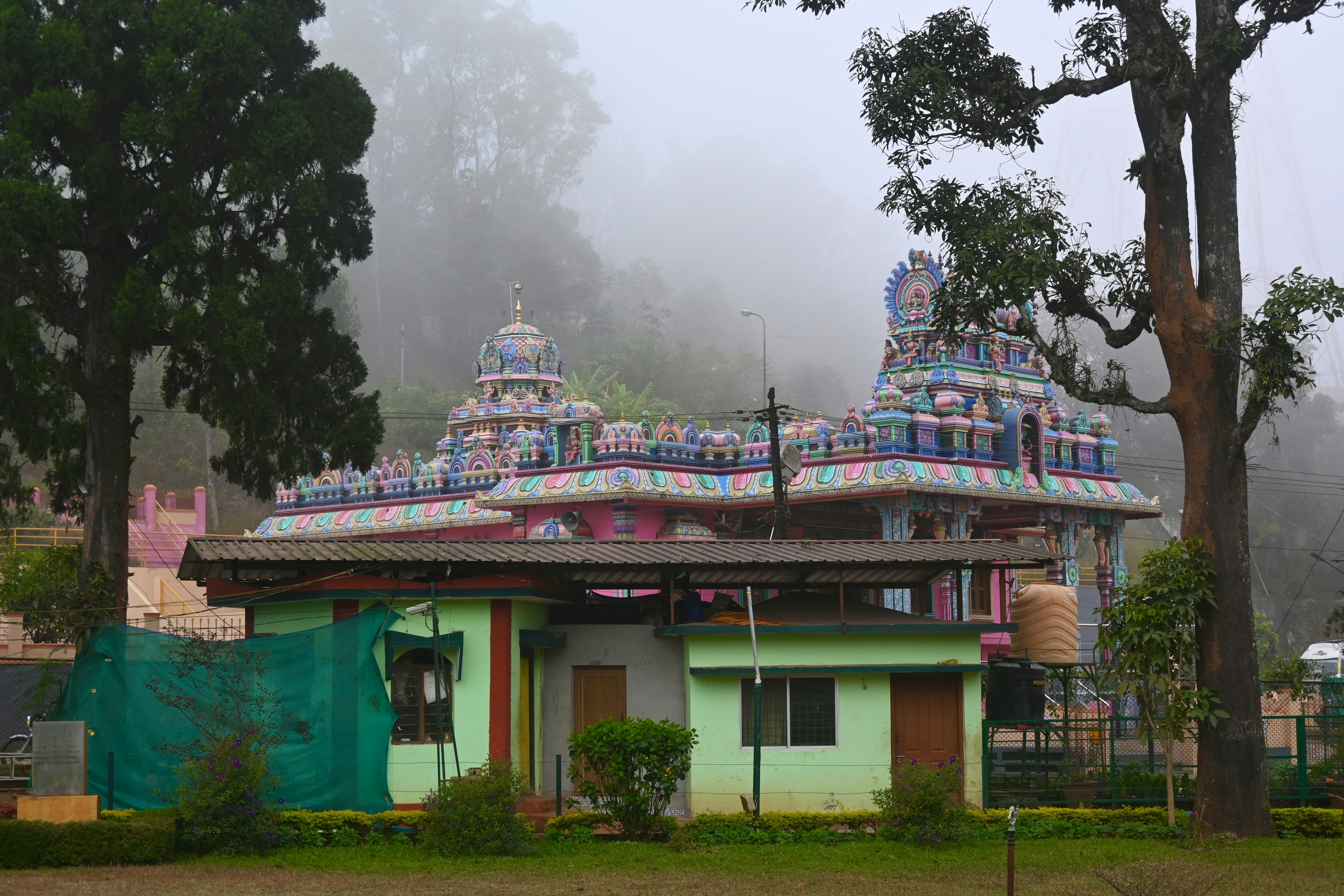 Trekking in Coorg