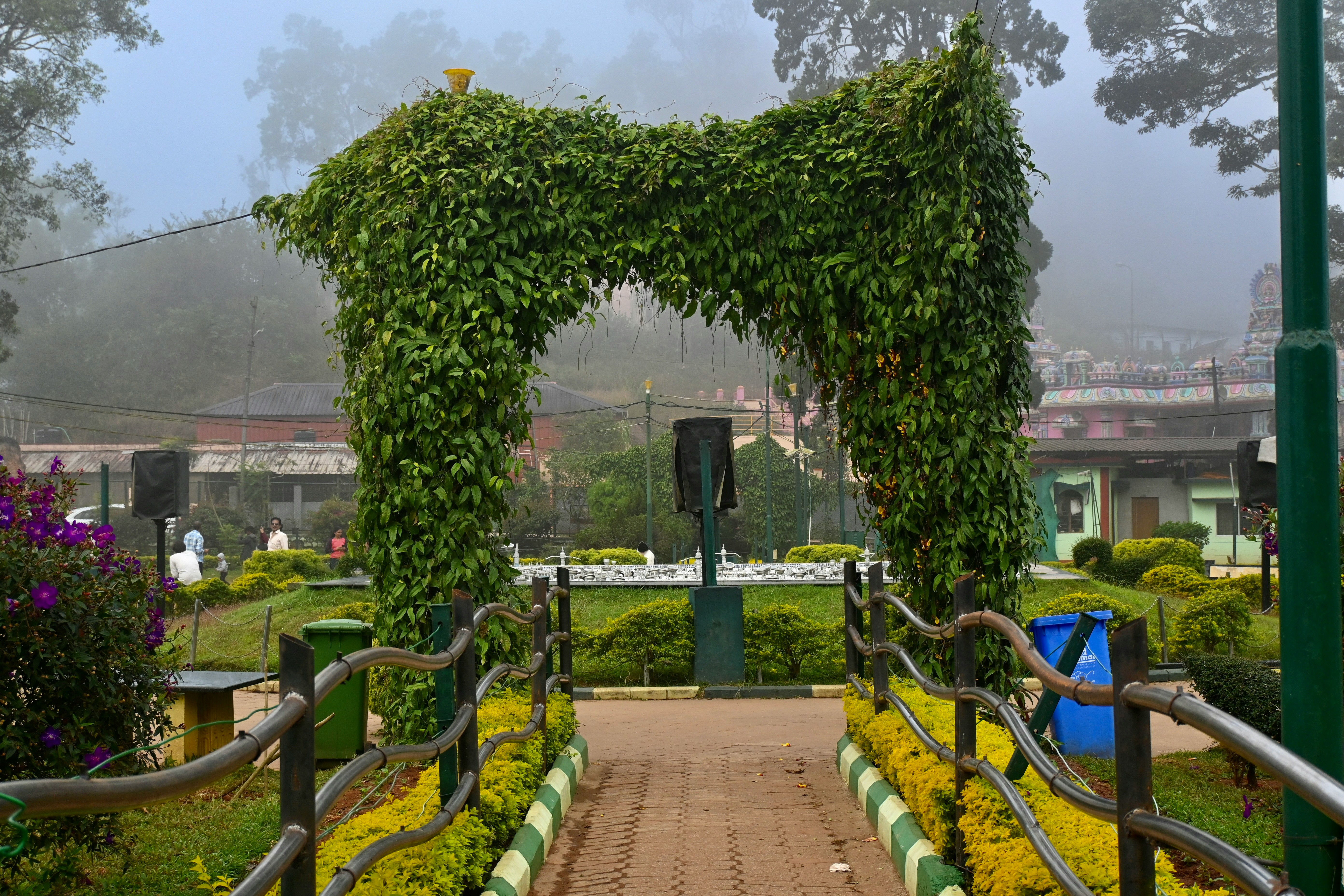 Famous Things to Buy in Coorg – Best Souvenirs Spices & More