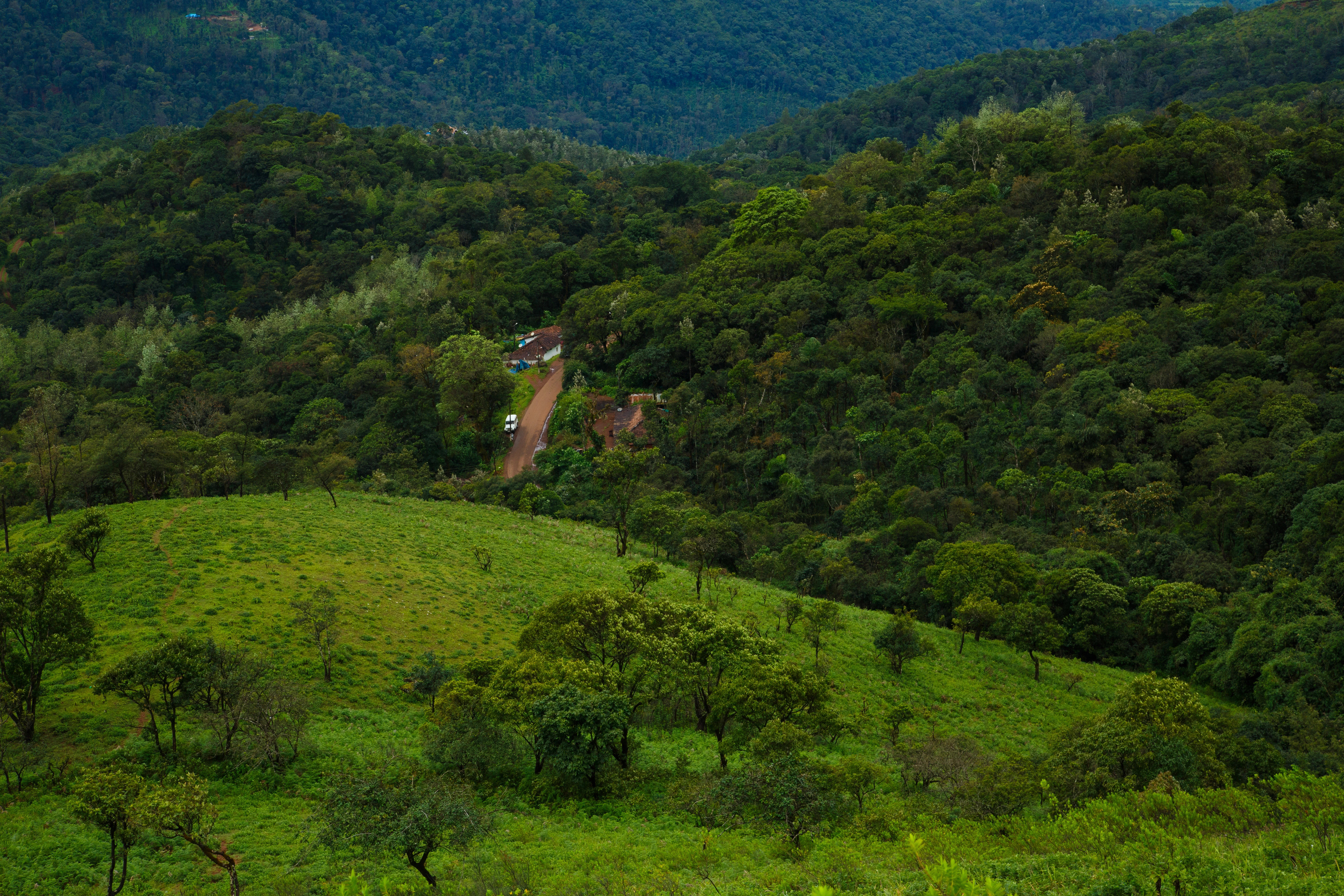 Chikkamagaluru Tour