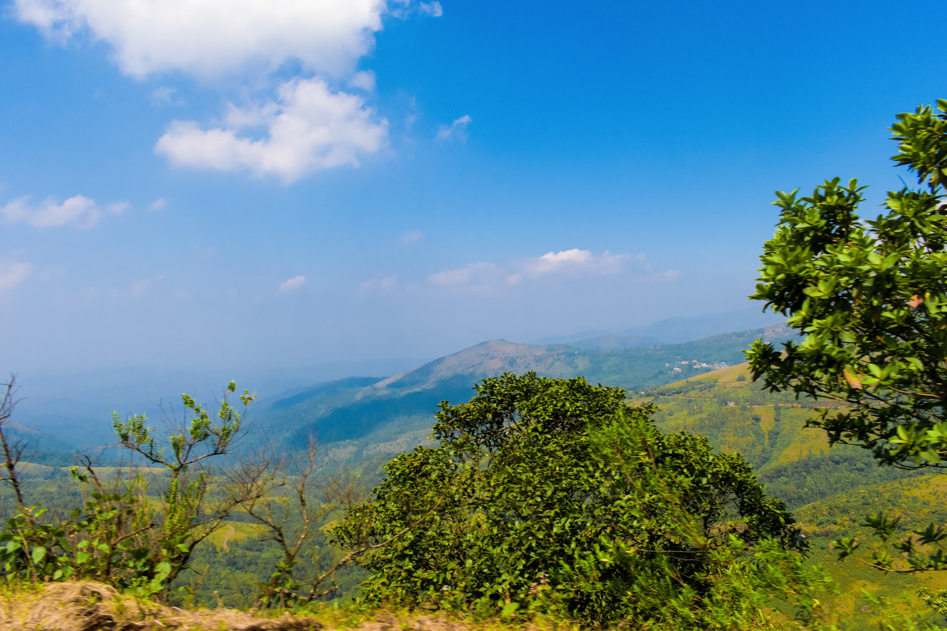 Kodachadri Peak