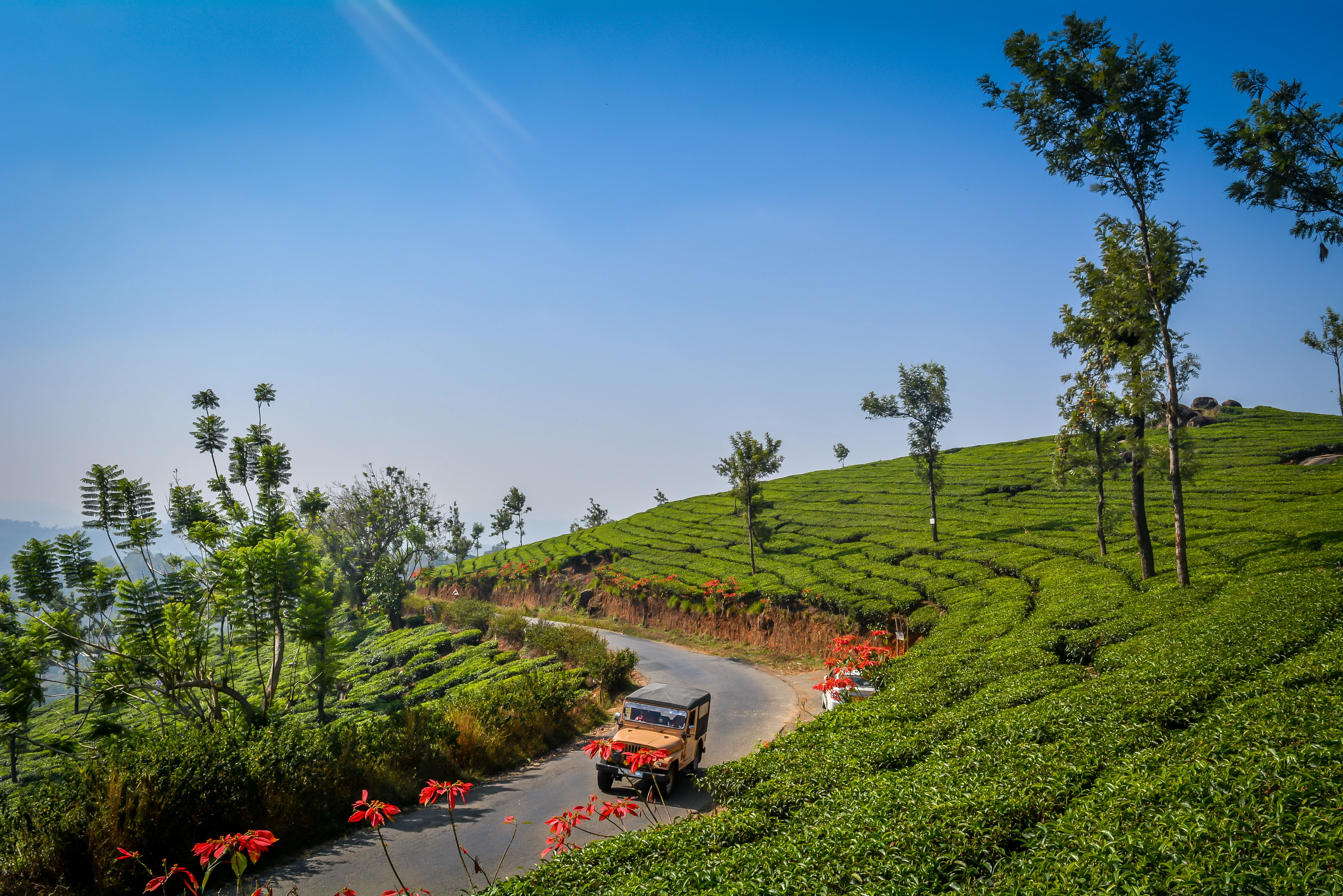 munnar package
