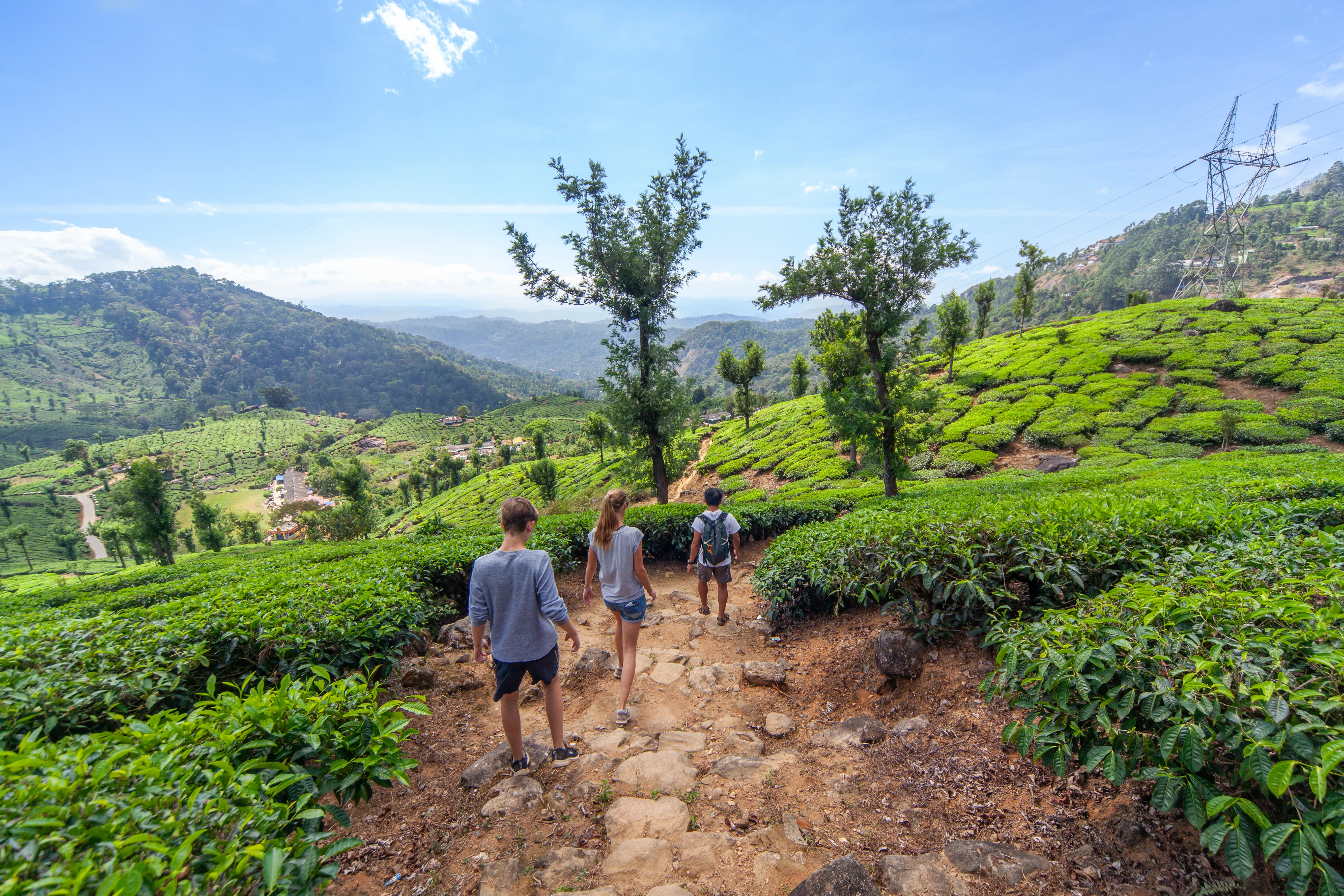 Munnar Sightseeing
