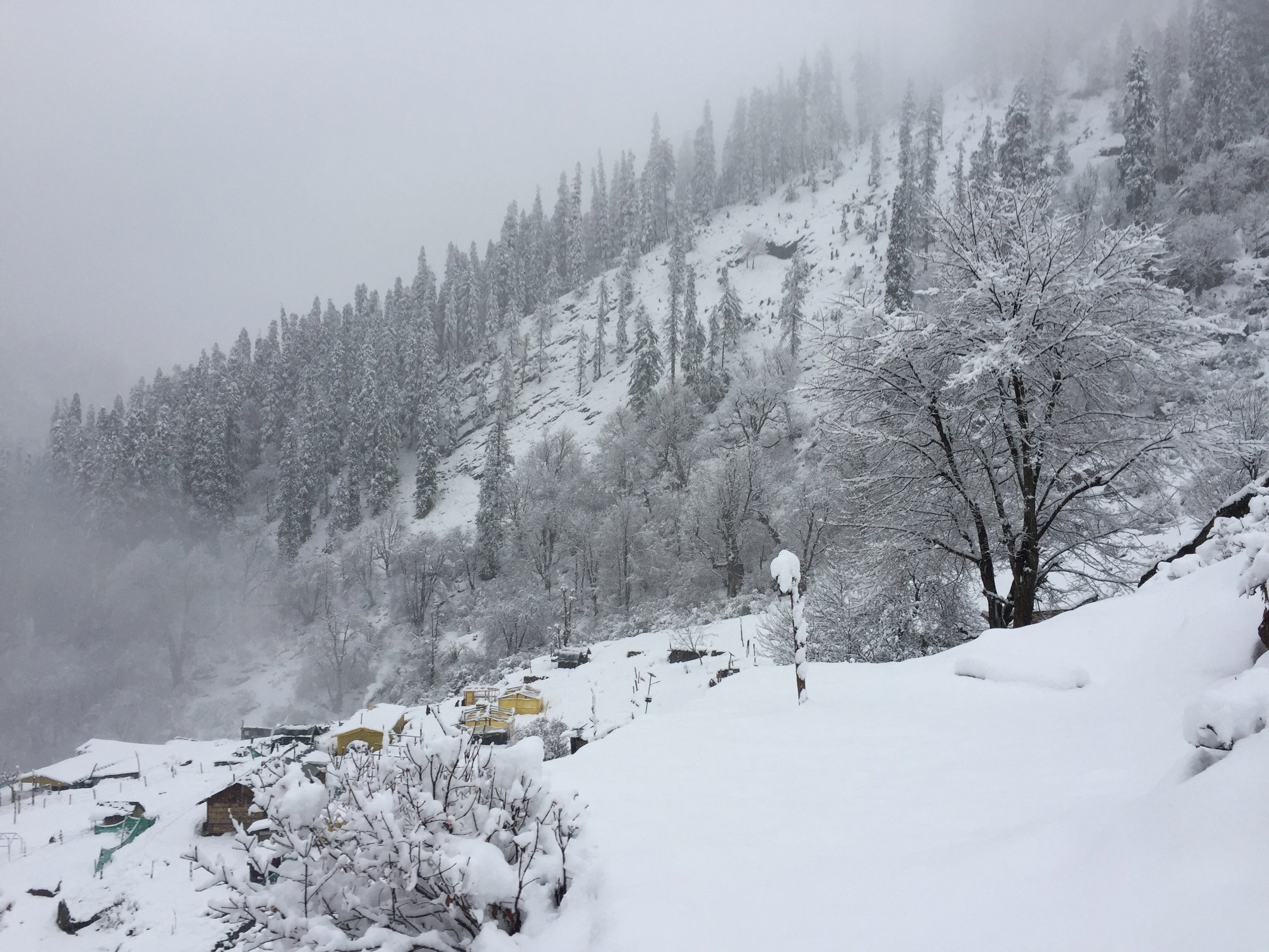 Kheerganga Trekking