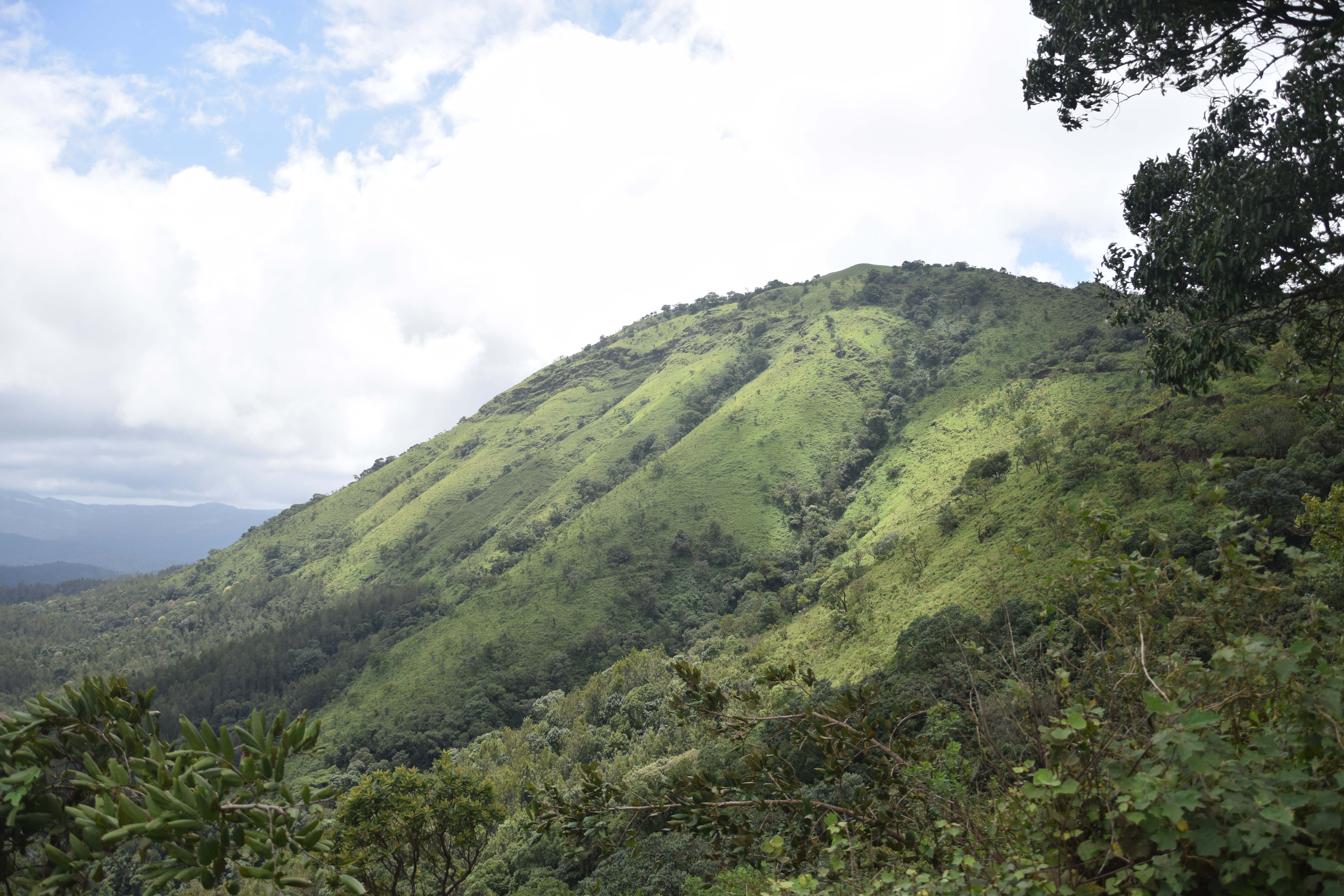 Netravathi Peak
