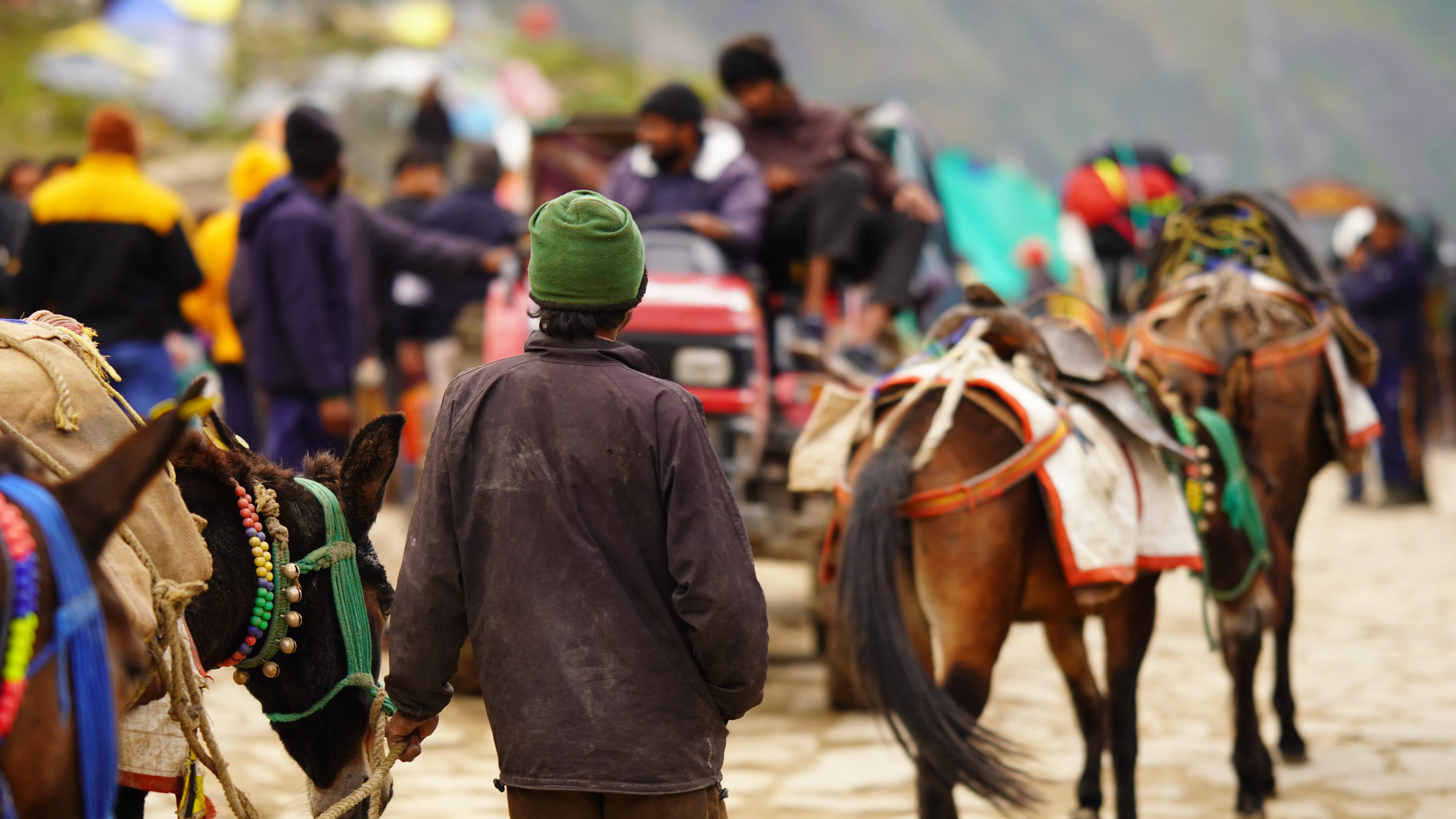 Kedarnath Trek Pony