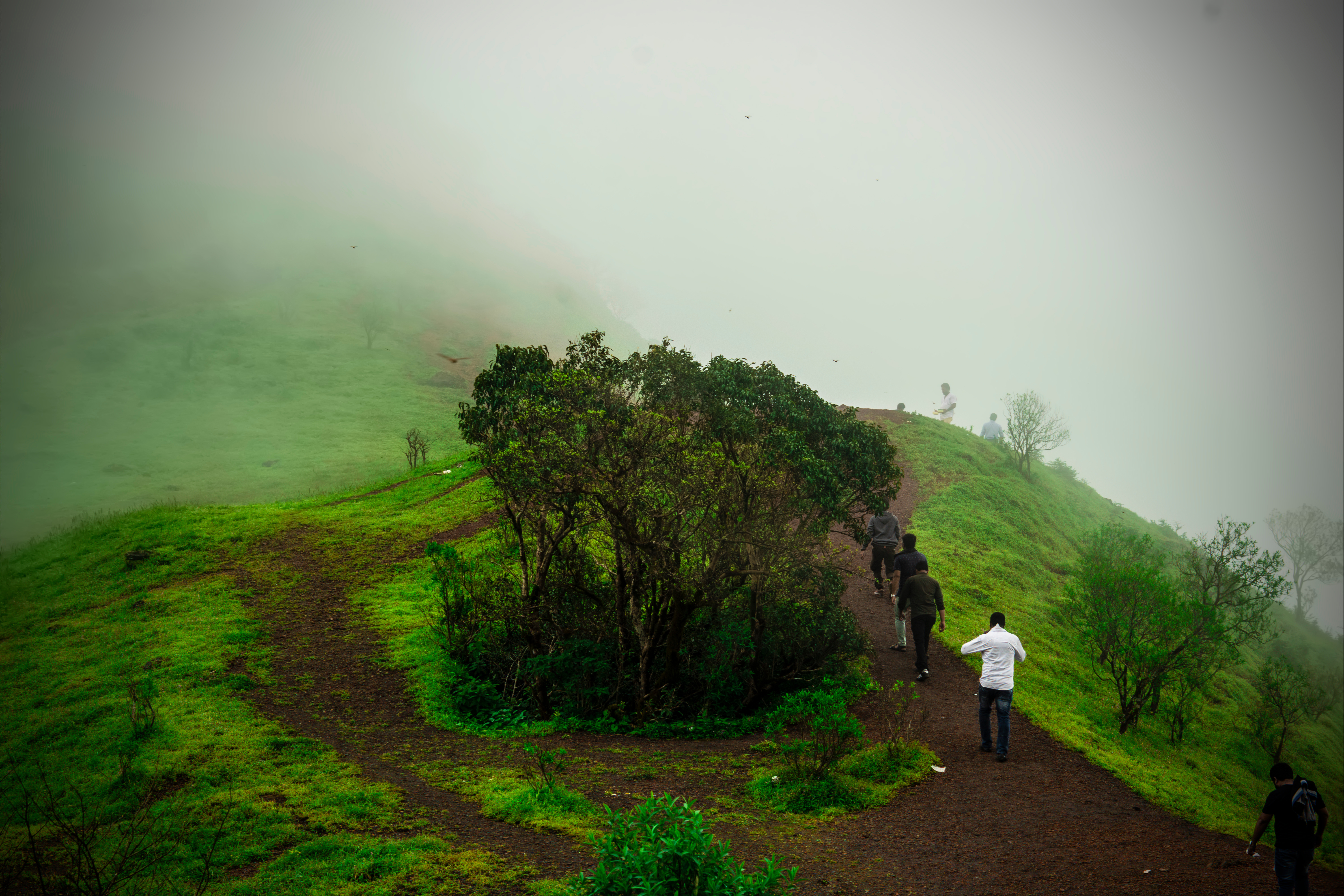 Kodachadri Peak