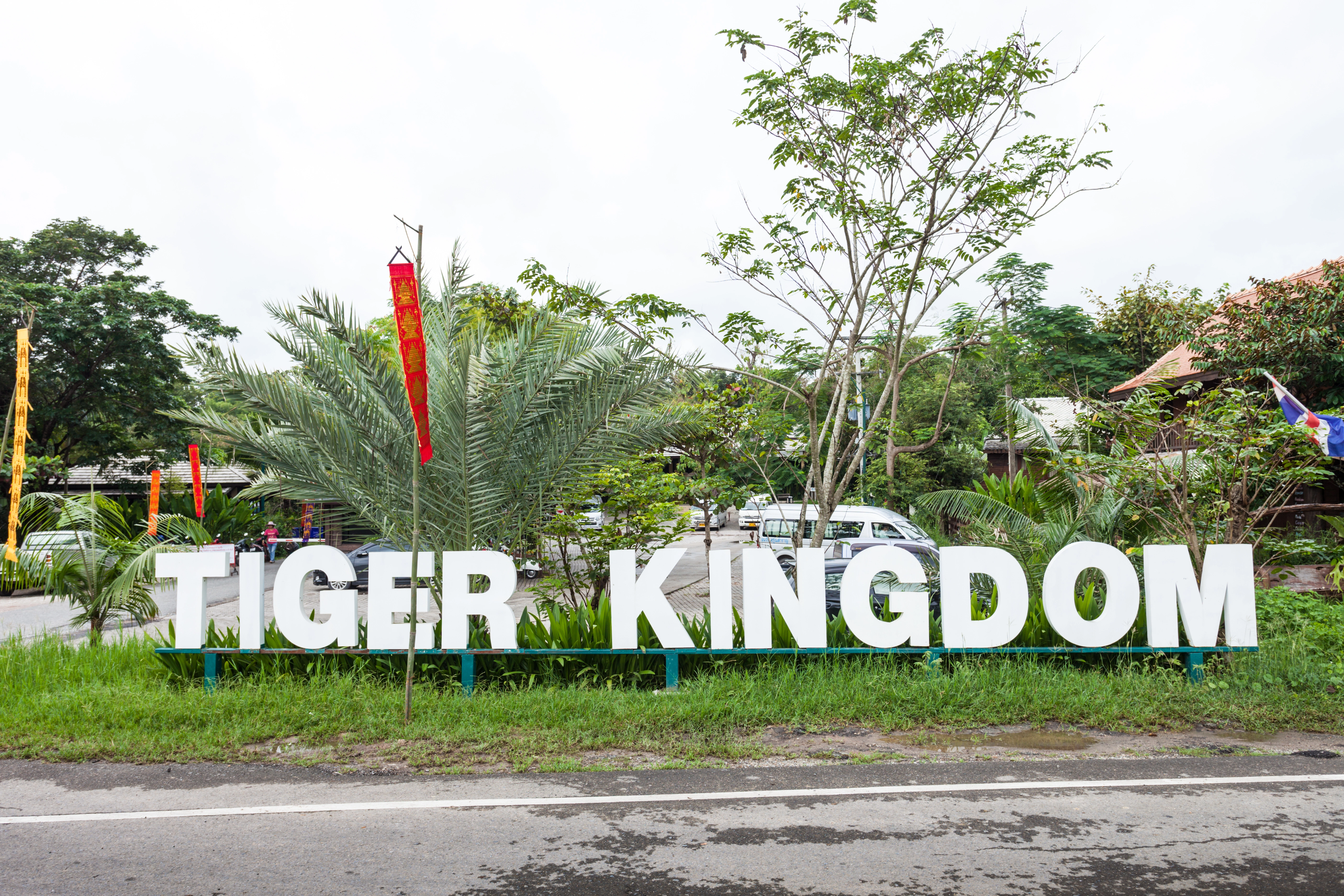 Emerald Pool Krabi Tour with Tiger Cave Temple