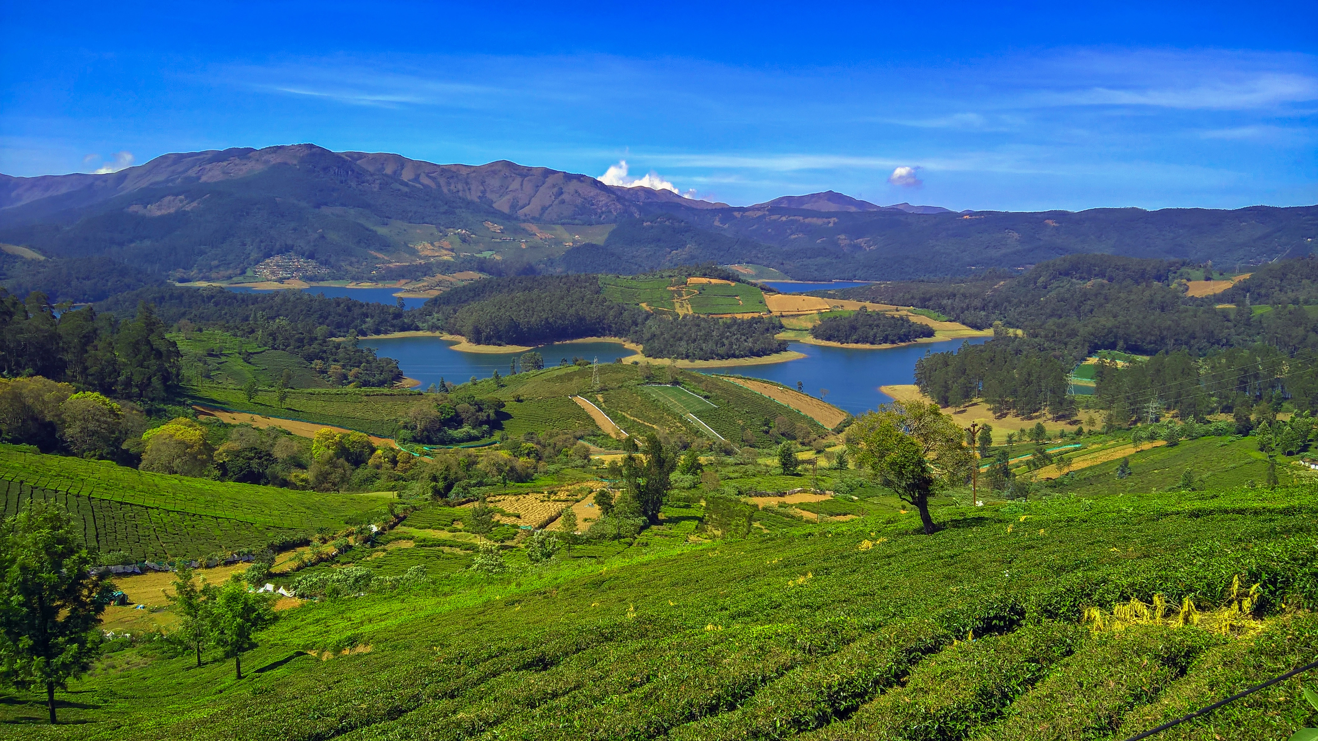doddabetta peak ooty