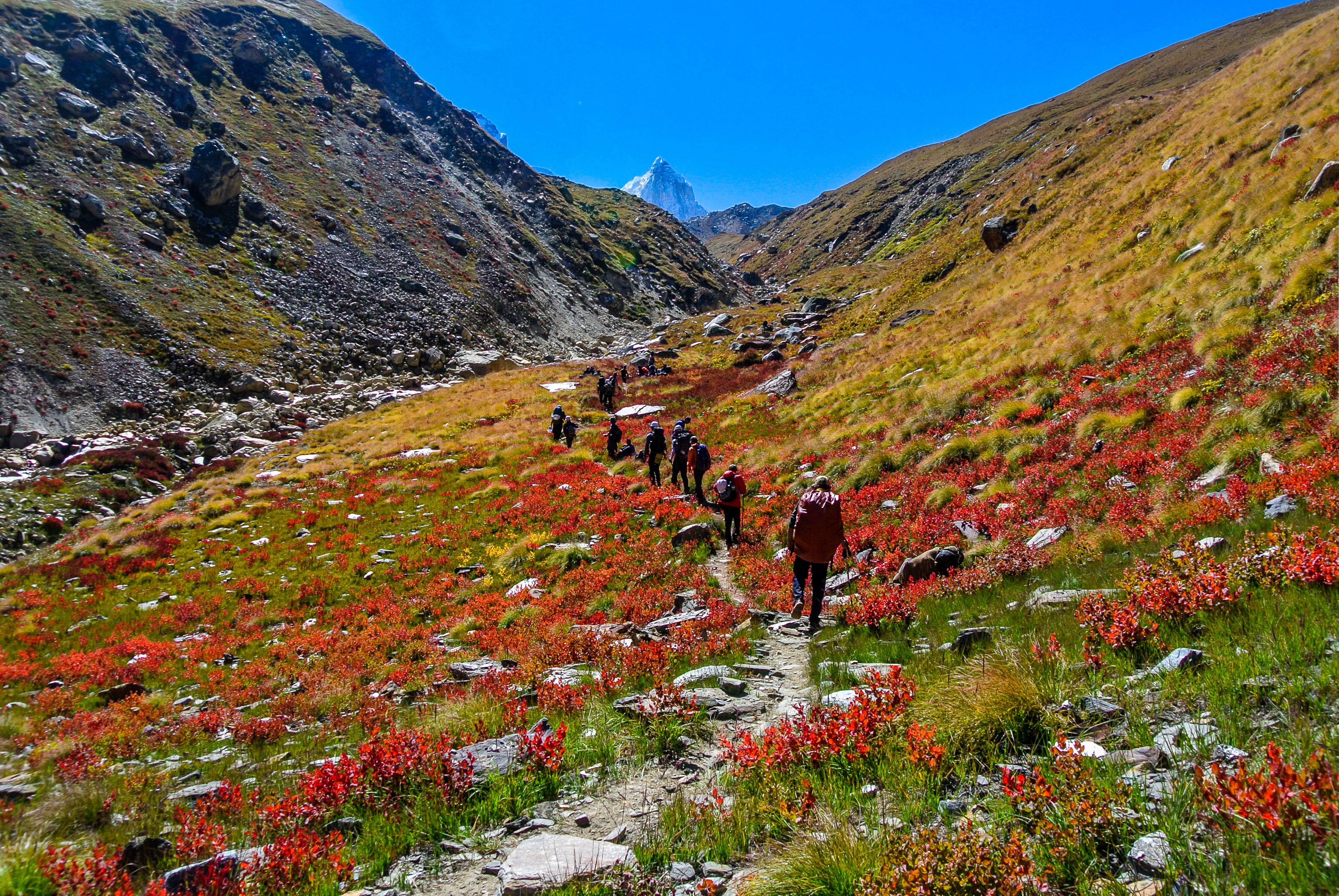 Kedartal Trek