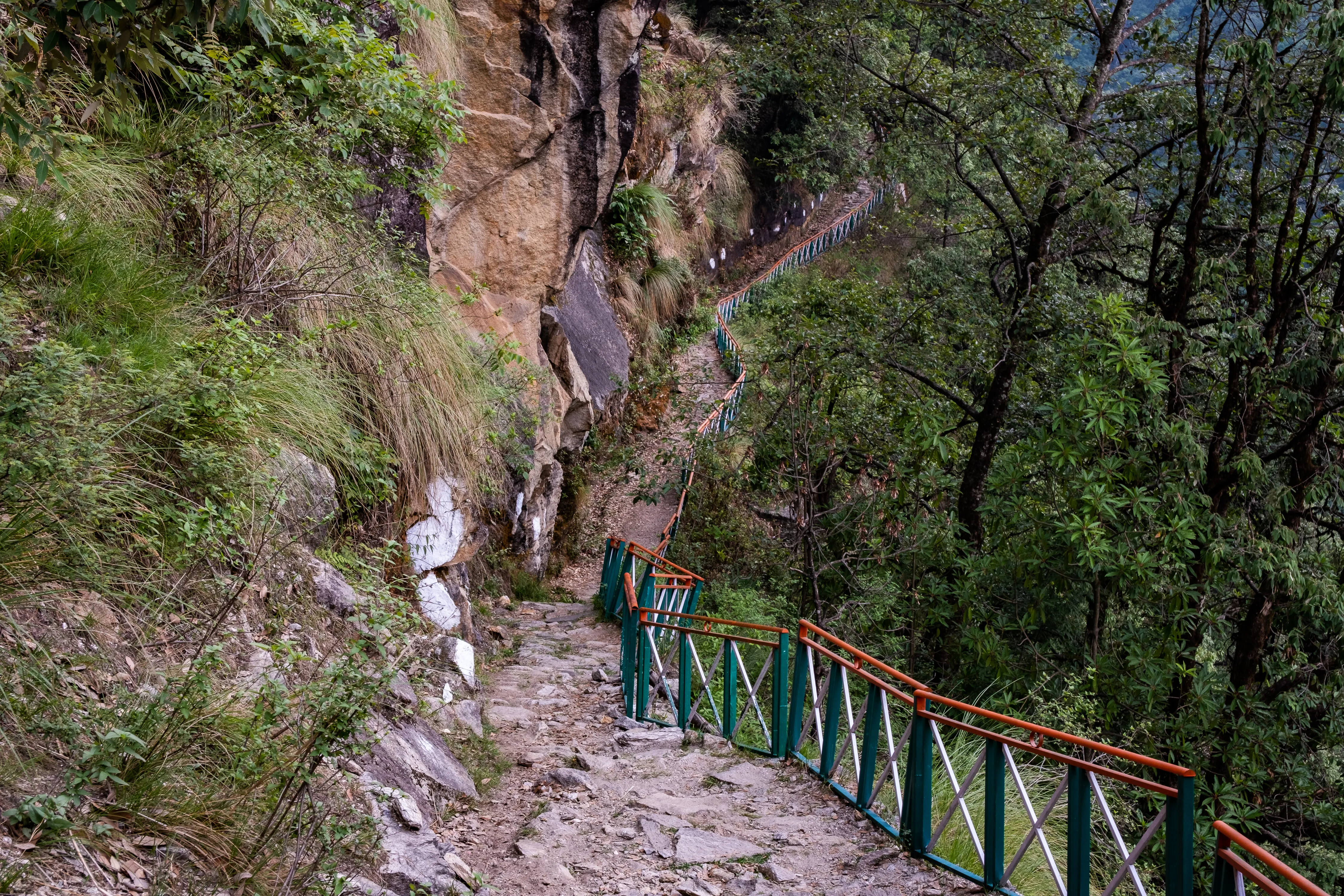 Rudranath Trek