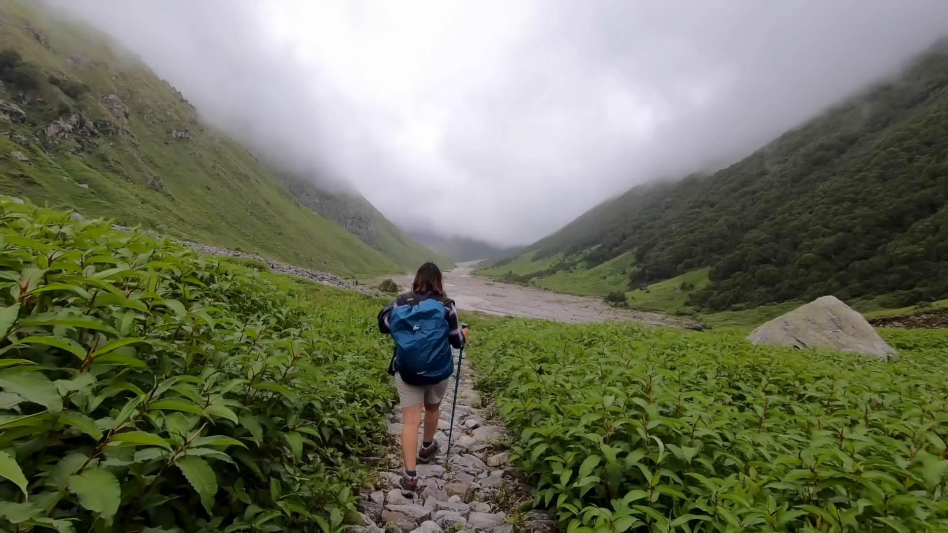 Valley of Flowers Trek, Uttrakhand