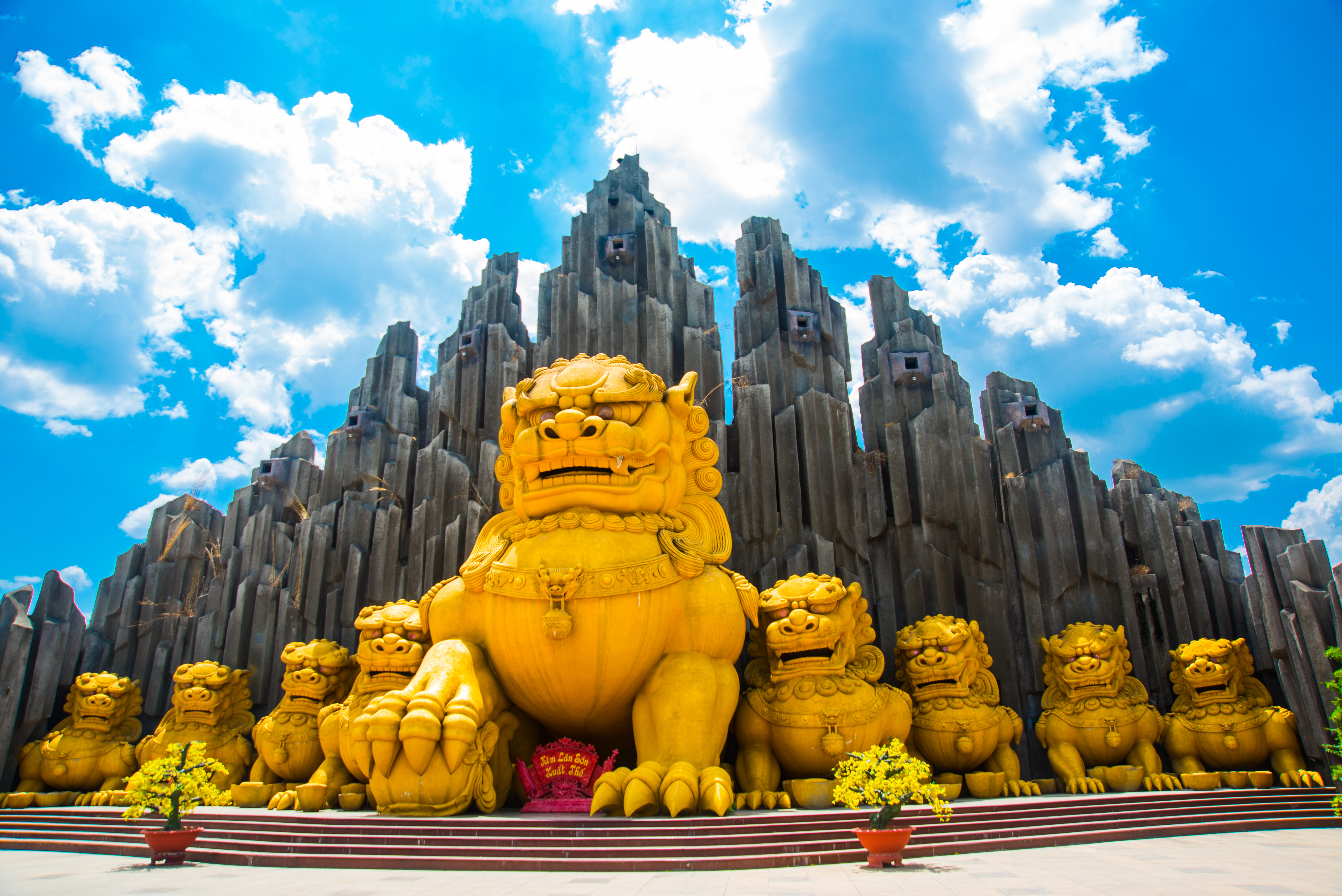 Vietnam Tour