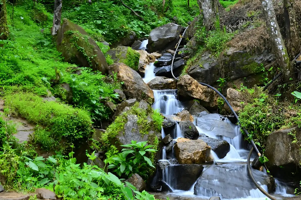 Kudremukha Trek, Chikkamagalur